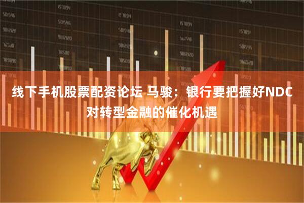 线下手机股票配资论坛 马骏：银行要把握好NDC对转型金融的催化机遇
