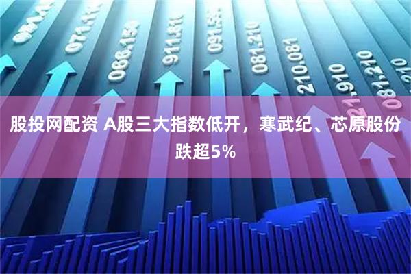 股投网配资 A股三大指数低开，寒武纪、芯原股份跌超5%