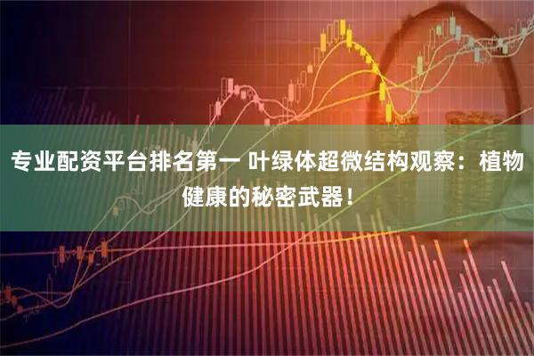 专业配资平台排名第一 叶绿体超微结构观察：植物健康的秘密武器！