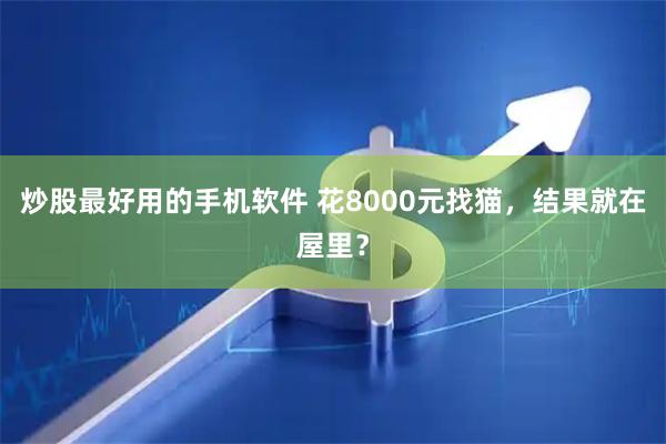 炒股最好用的手机软件 花8000元找猫，结果就在屋里？